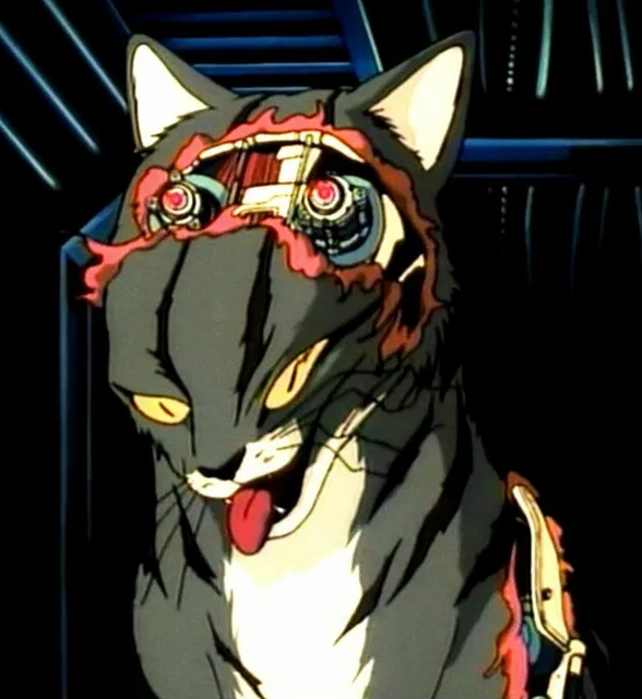 LillyCat