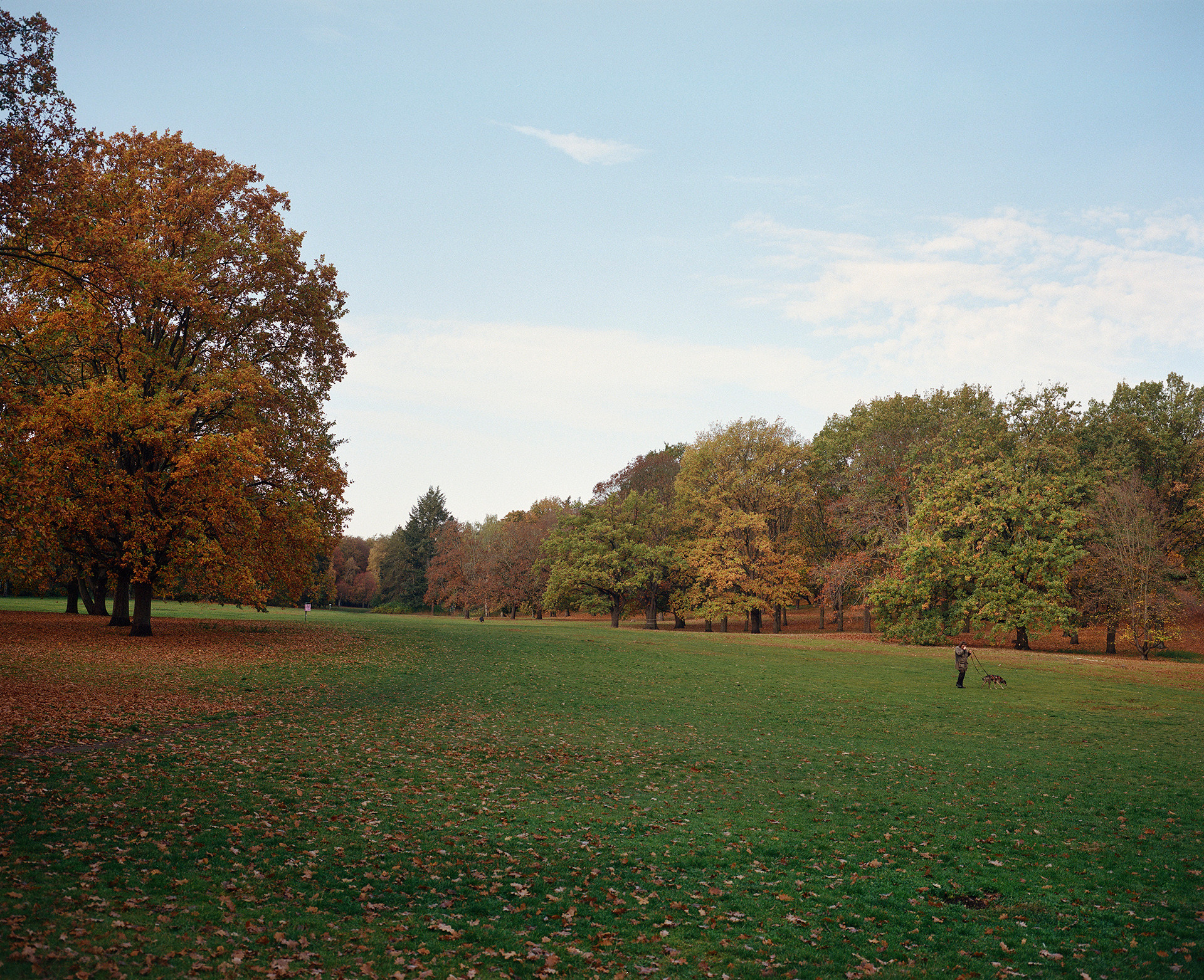 Volkspark Rehberge, Berlin