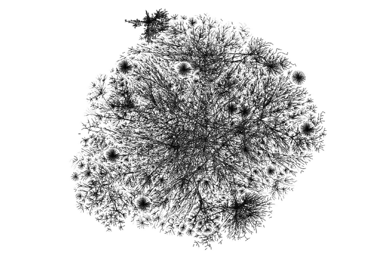 Рисунок 1.1. Компьютерное изображение («splat-map») глобального интернет-трафика, закрашено по&nbsp;адресам интернет-провайдеров. Автор&nbsp;— Джованни Наварриа (Giovanni Navarria). 