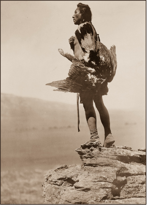 Рисунок 2. Edward Sheriff Curtis 1908&nbsp;год. Индеец из&nbsp;племени хидатса с&nbsp;захваченным орлом.