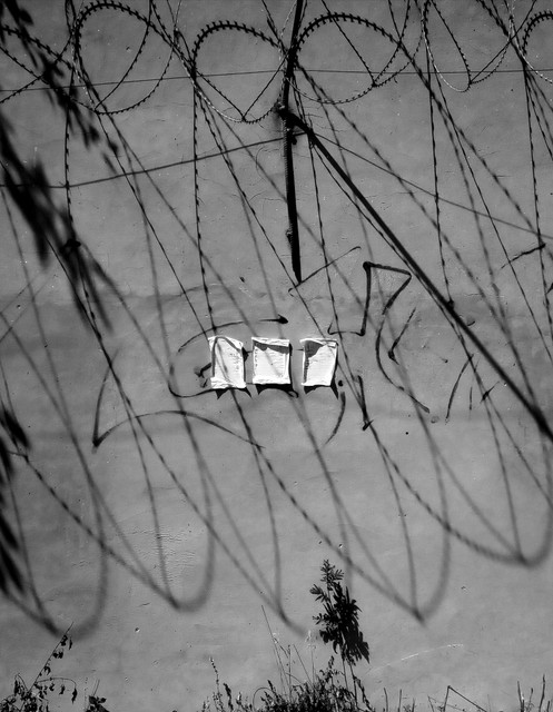 ТУМАН ИЗ ЖЁЛТОГО КИРПИЧА