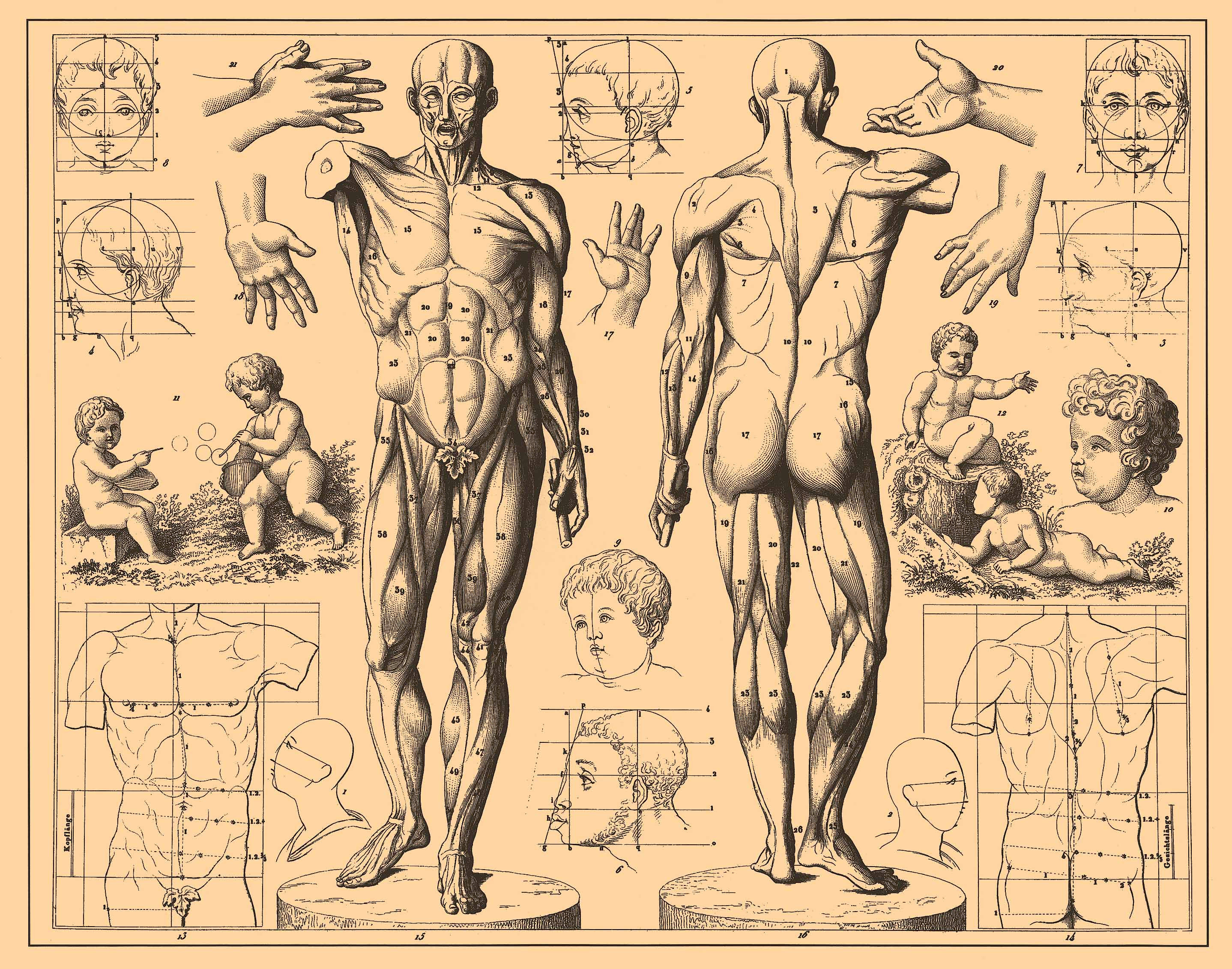 Brockhaus and Efron Encyclopedic Dictionary