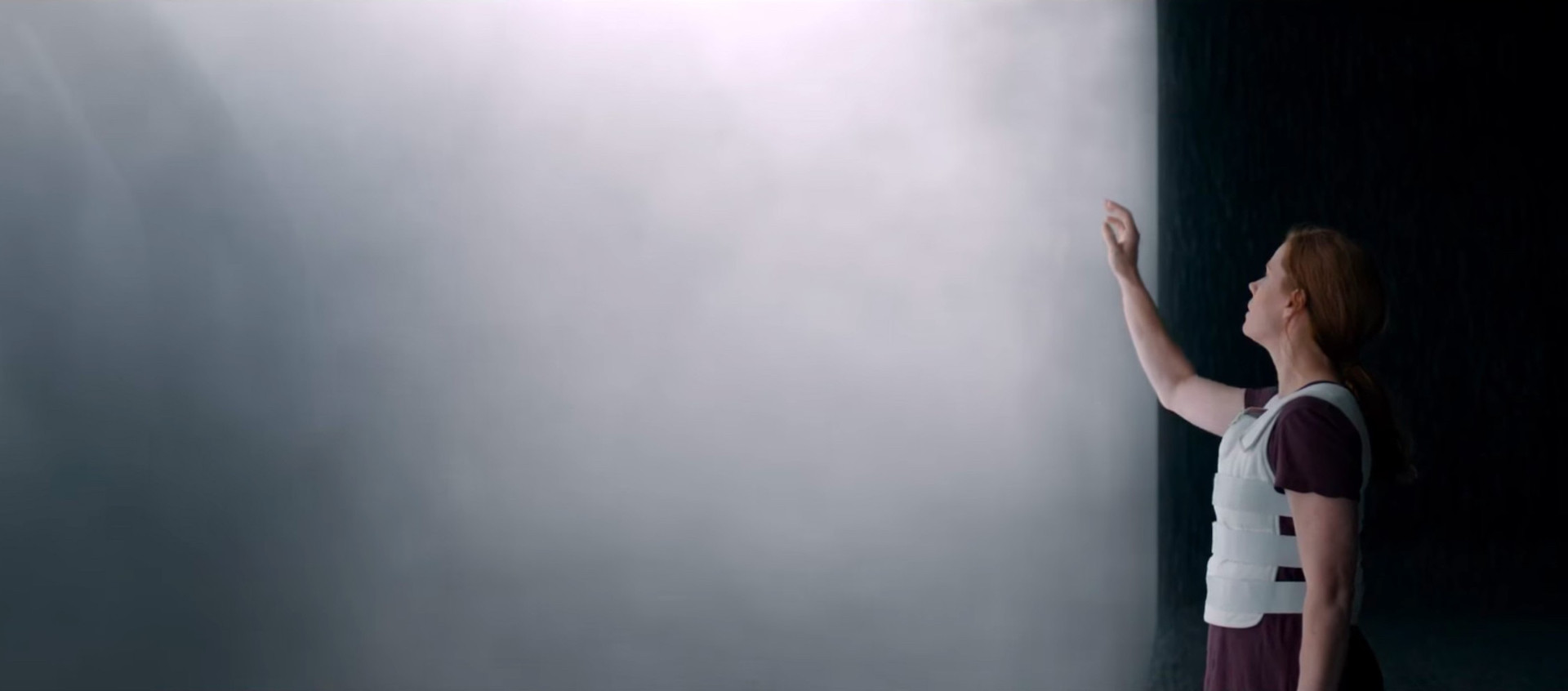 Луиза у экрана гептаподов, сцена из фильма Arrival 2016, с сайта placesoffancy.com