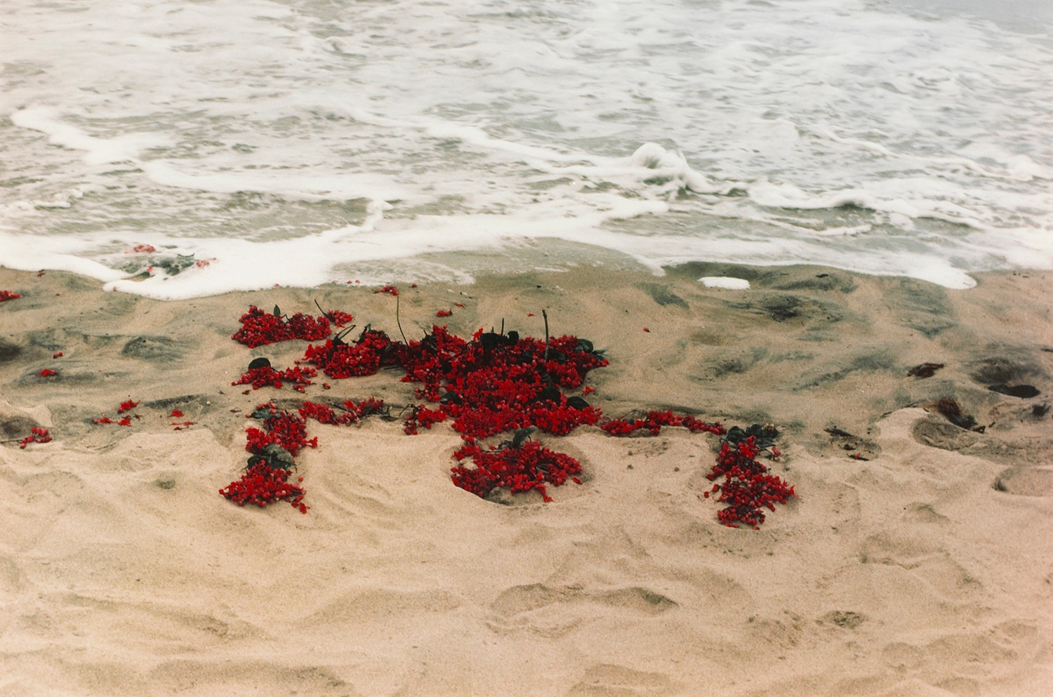 Ana Mendieta, Untitled, from the Silueta series, 1976