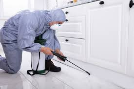 Pest Inspection Barrhaven: Find Pest Problems Early