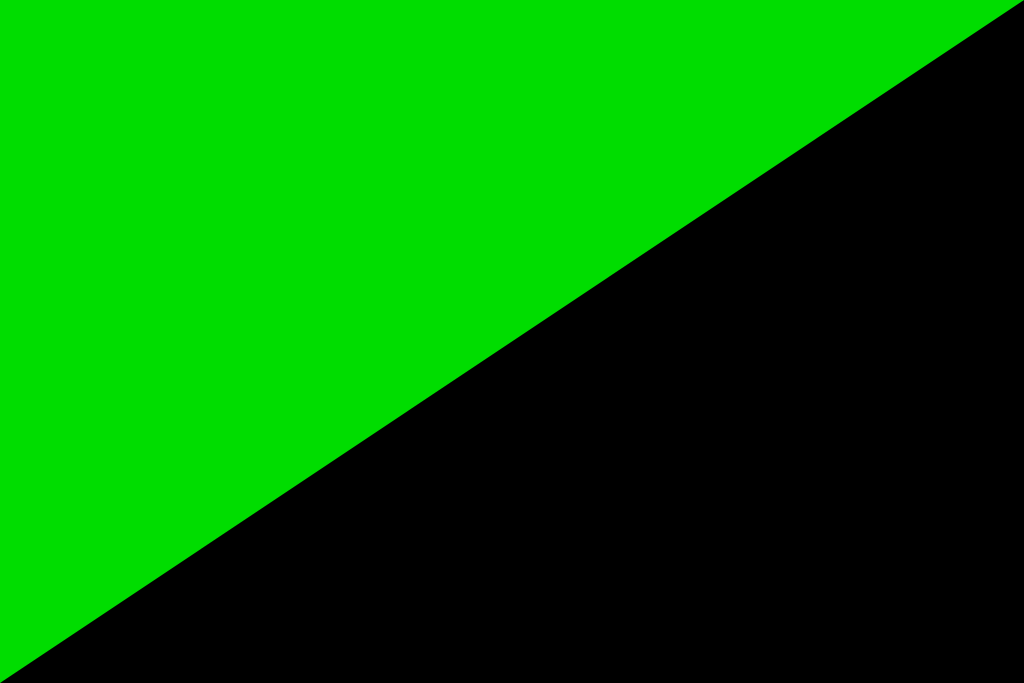 Прапор анархо примітивізму
