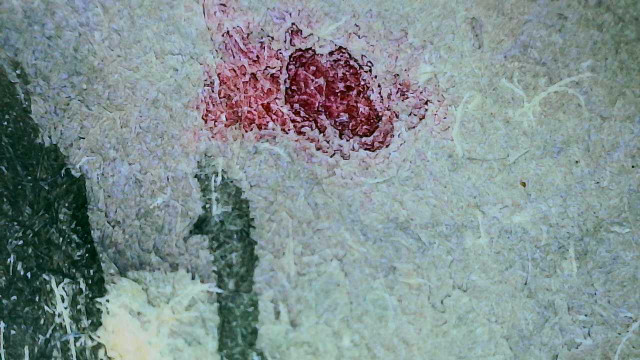 Как искусственный интеллект используется в экспертизе искусства