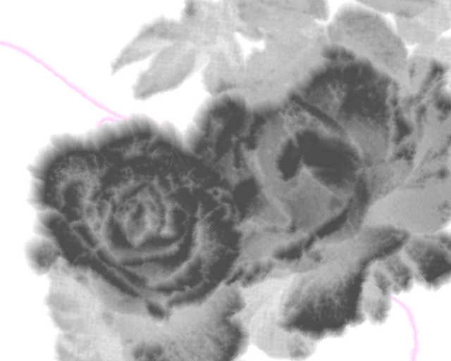 Опыт расиализации, колонизации, миграции: что может терапия? Выдержки из доклада «Этика работы помогающих специалист:ок» Ақерке Махмуд