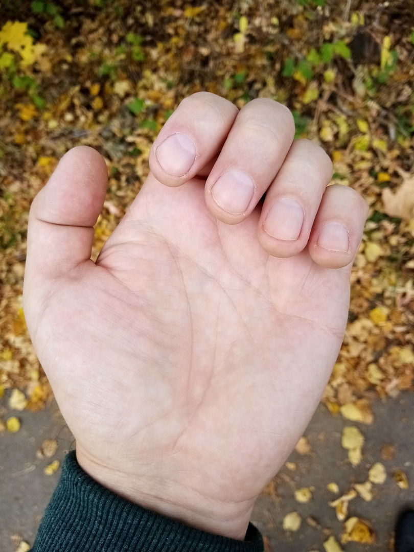Моя рука