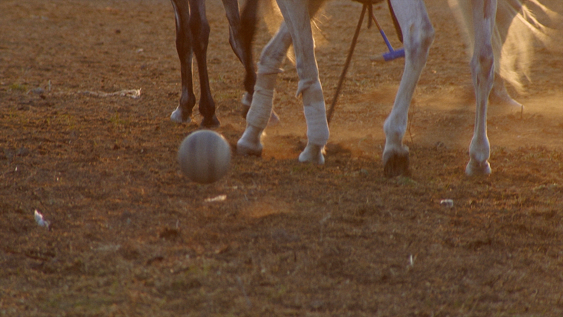 Screenshots from the film. Courtesy of the artist.