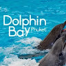 Dolphin Show Pattaya