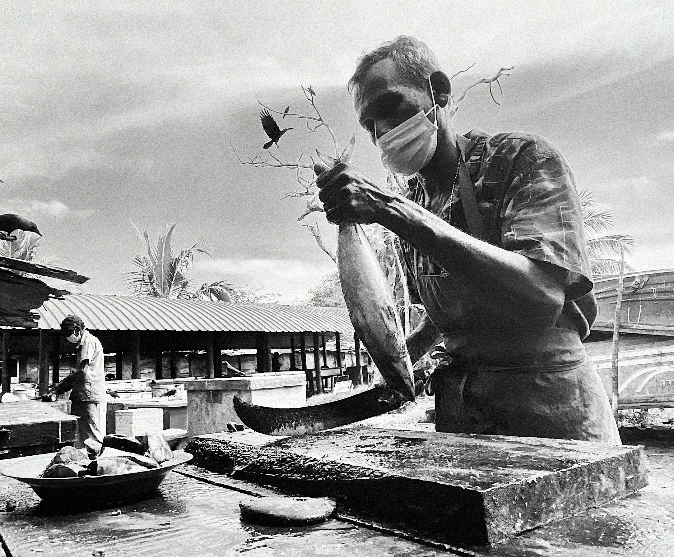 Gale, Sri Lanka