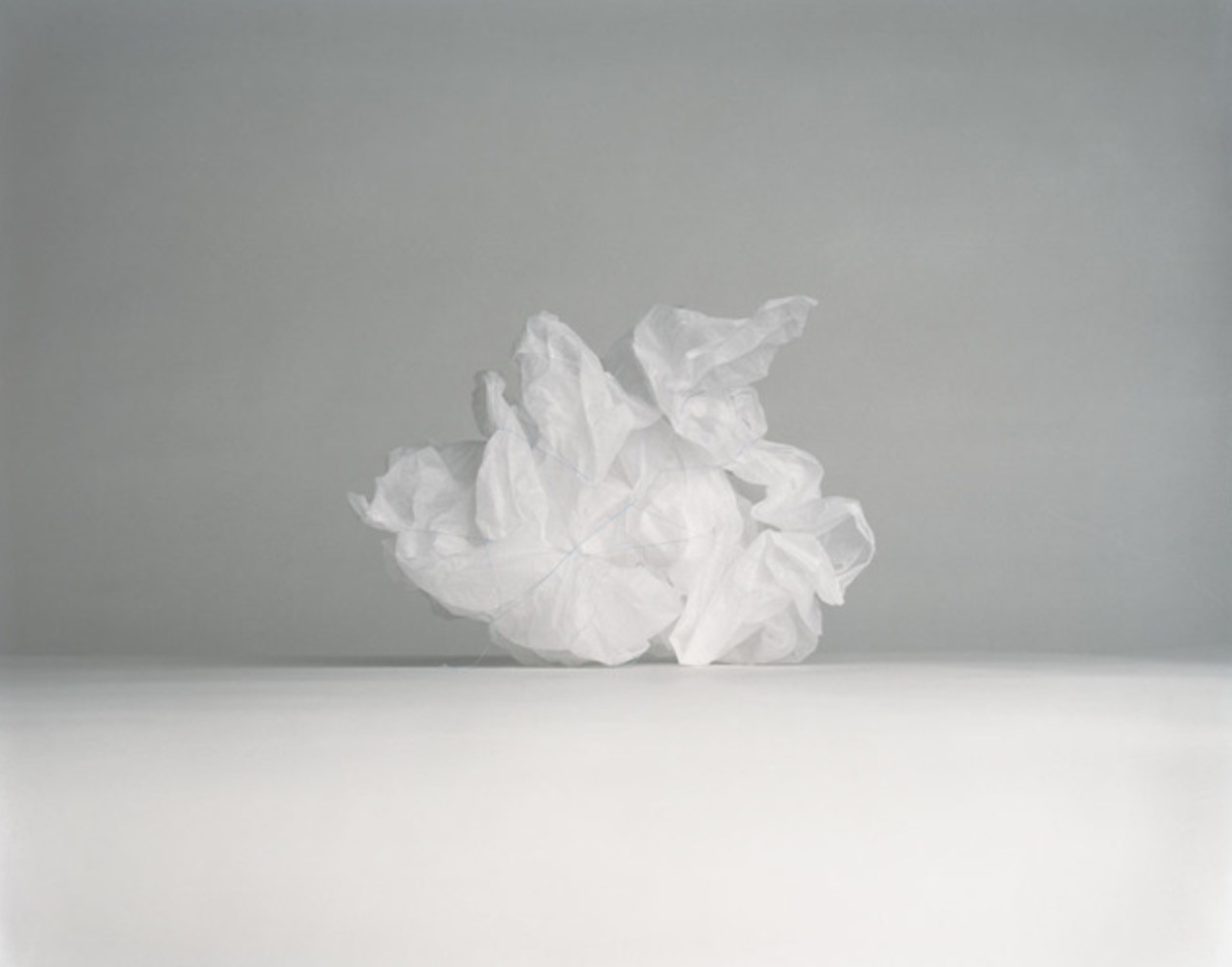 Sarah Lynch. Paper & Wire Diptych (Paper). 2005