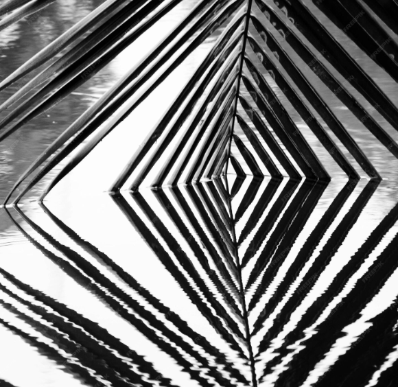 Эгосенситивность и аномия