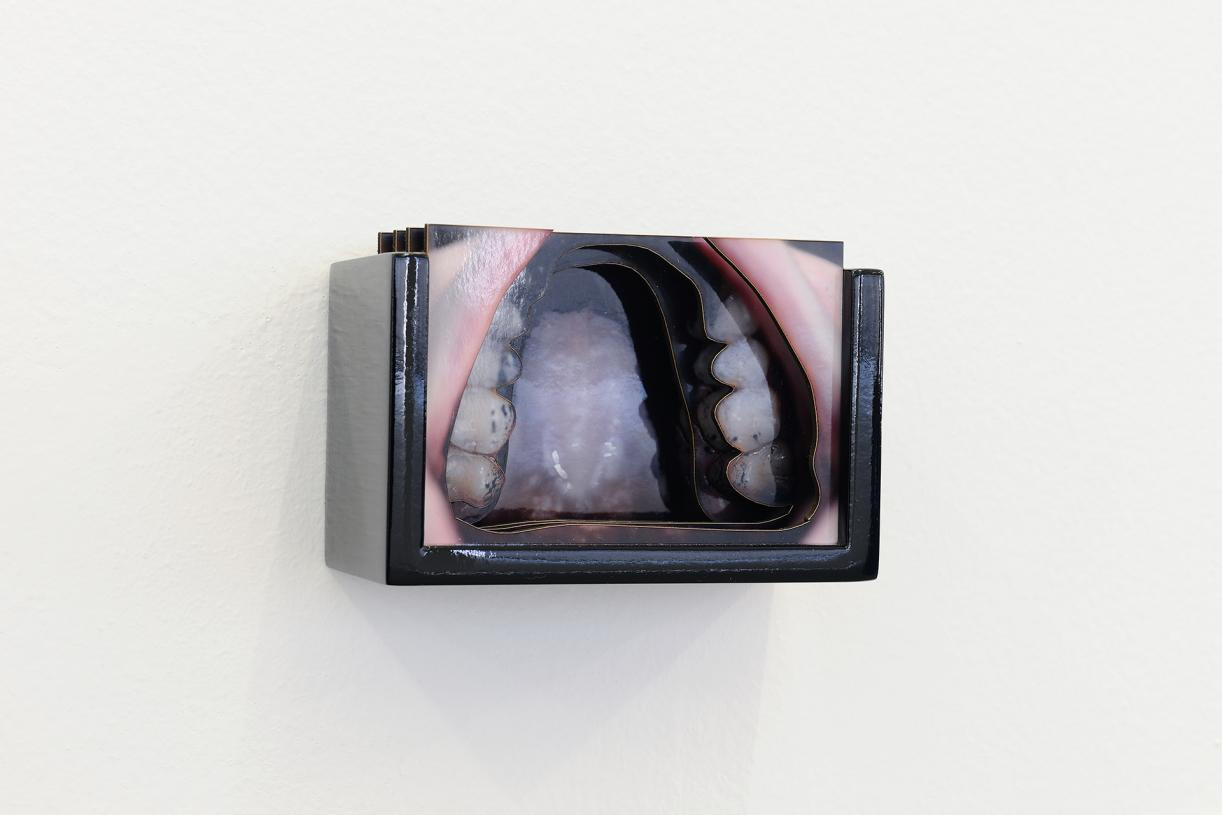 Lawrence Abu Hamdan. Disputed utterance, 2019