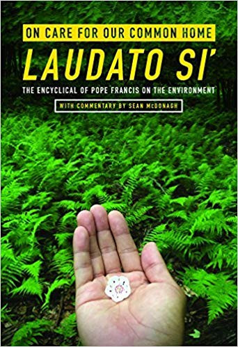  «Laudato Si&#39;: о&nbsp;заботе во&nbsp;благо нашего общего дома»