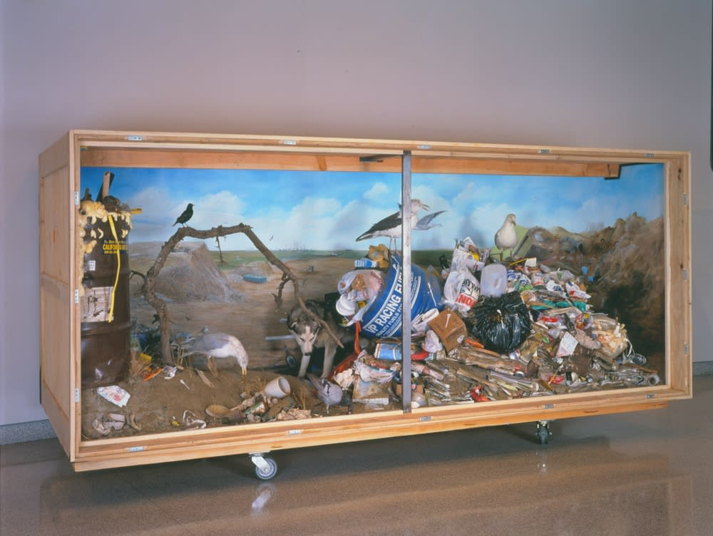 Mark Dion, Landfill, 1999-2000