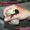Juhn Oxilia