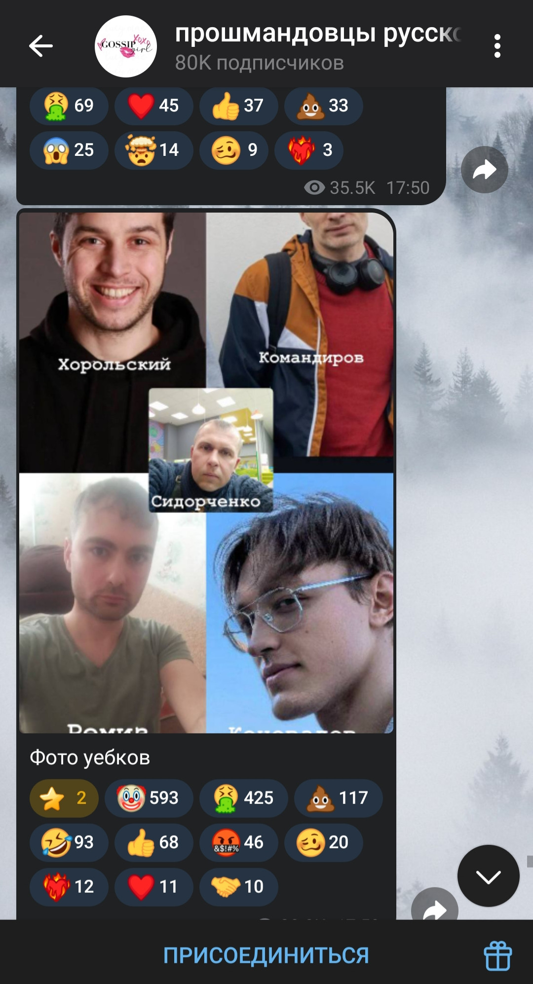 В прошмандовцах русской эмиграции оказались не граждане России, но Украины, двое из которых никогда не имели ни публичных антифеминистичных заявлений, ни действий подобного характера