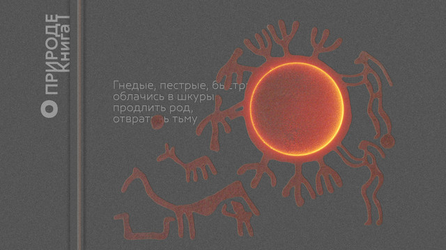 О Природе, Книга I
