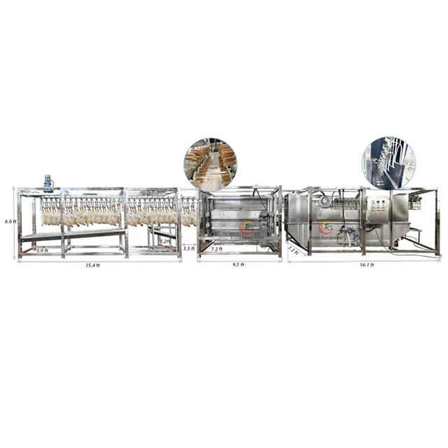 Achieve Consistent Results with an Advanced Chicken Slaughtering Machine