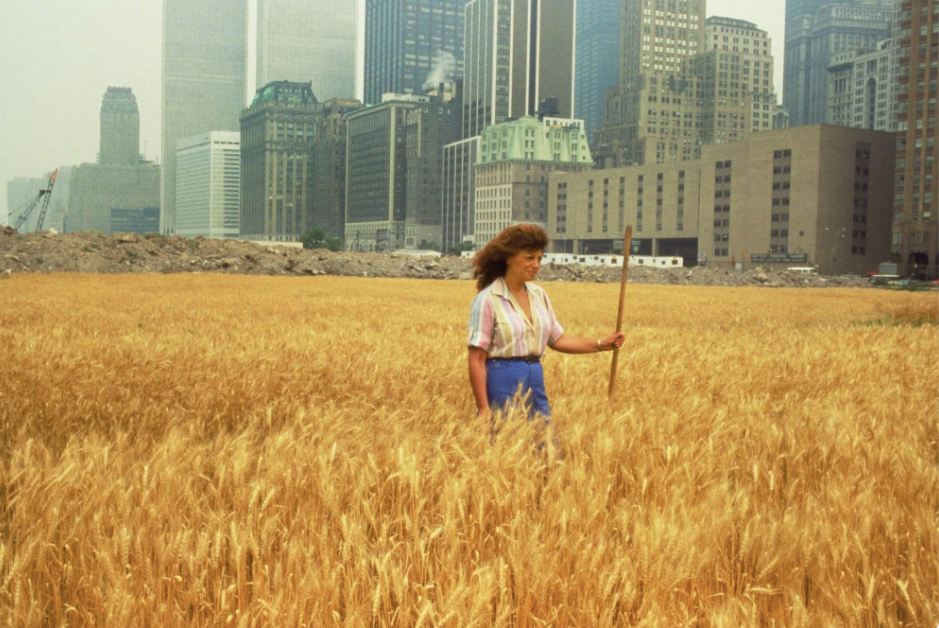 Wheatfield&nbsp;— A Confrontation: Battery Park Landfill, Downtown Manhattan © All photographs by Agnes Denes