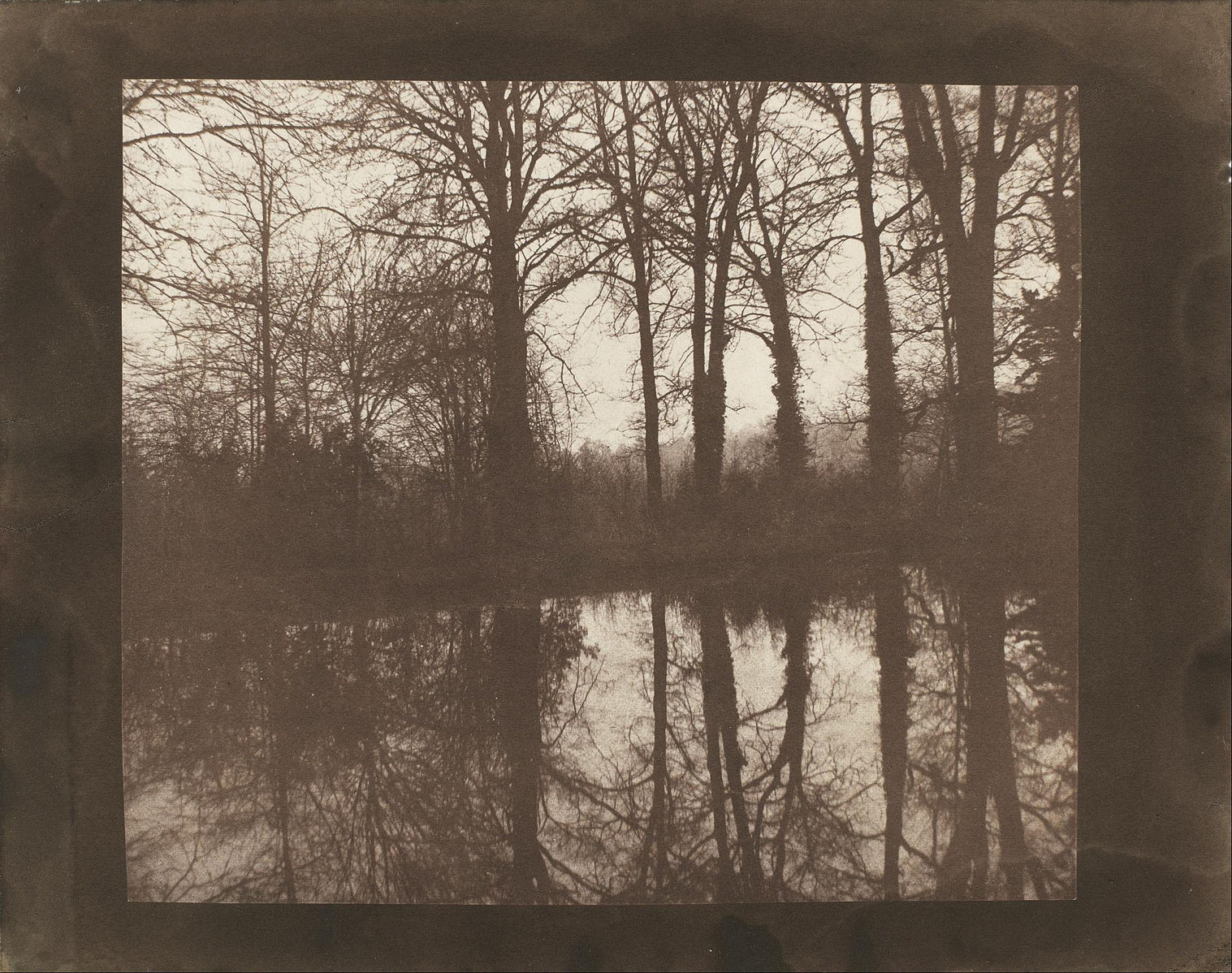 Trees and Reflections (1842). William Henry Fox Talbot. Museum of Fine Arts, Houston.