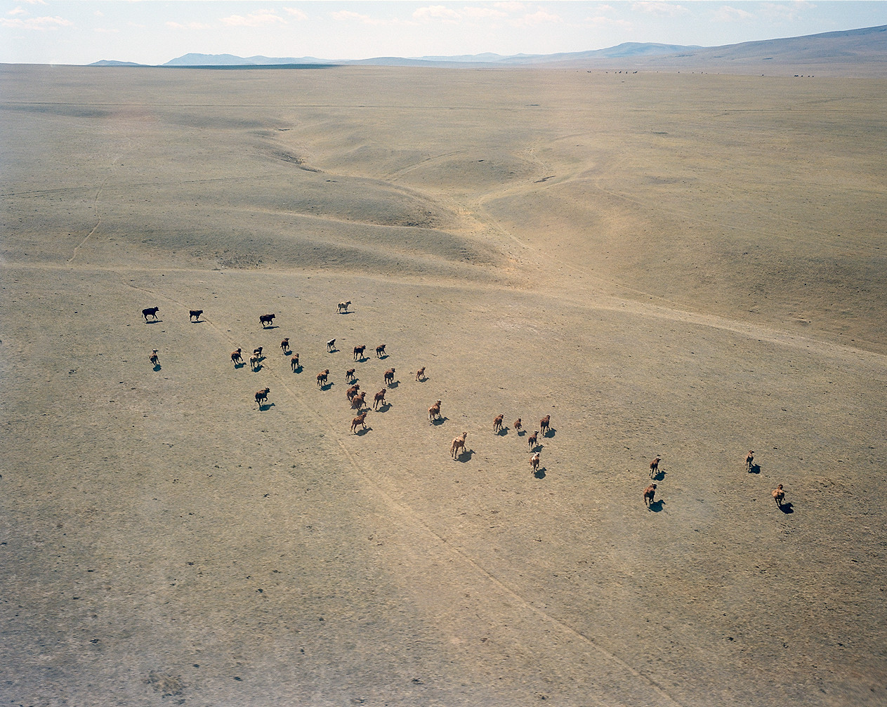 Аймак Дархан-Уул, Монголия. Ландшафт здесь выглядит примерно так же, как&nbsp;и&nbsp;сотни лет назад, во&nbsp;времена Монгольской империи. Фотография автора, 2013