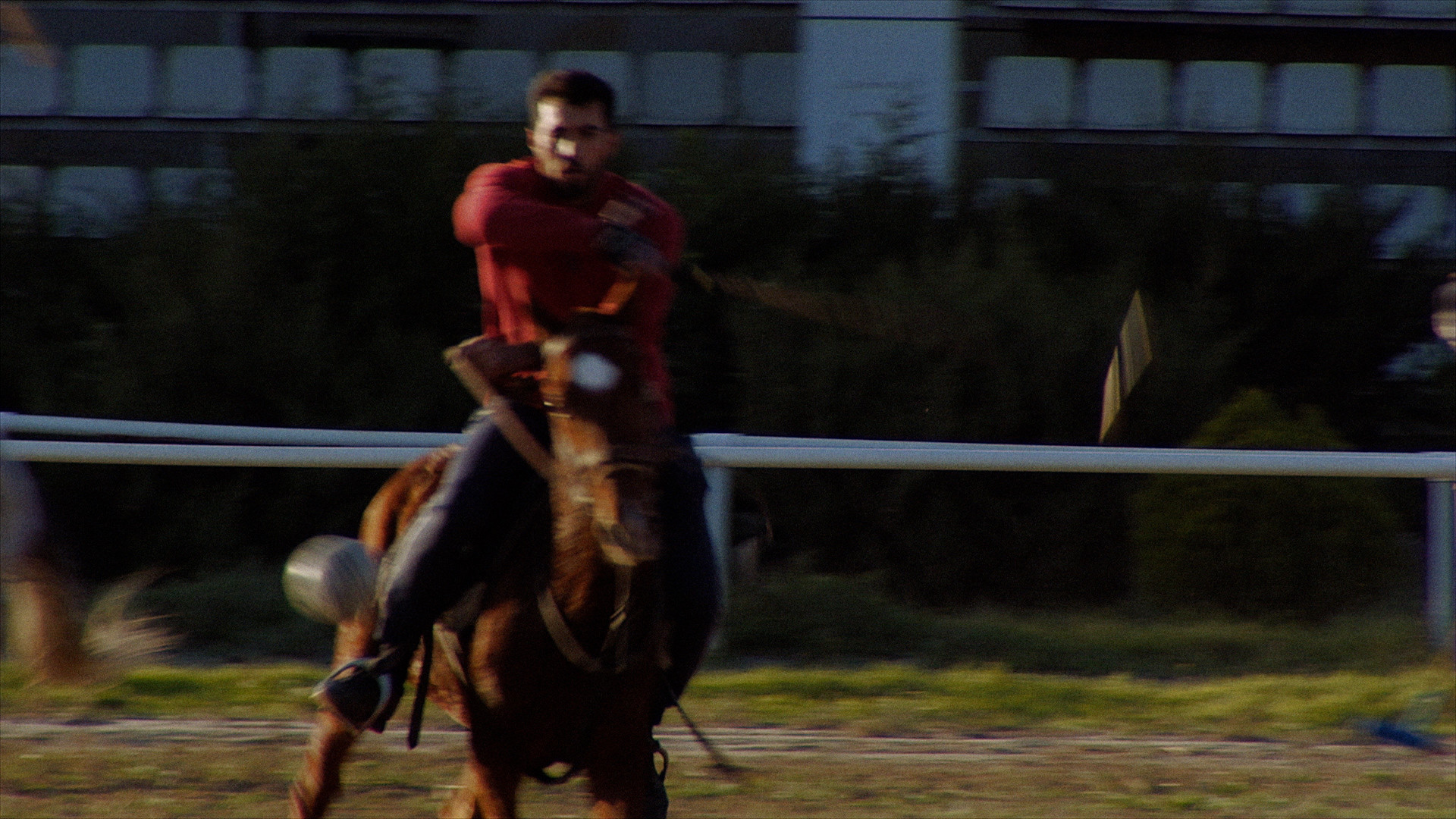 Screenshots from the film. Courtesy of the artist.