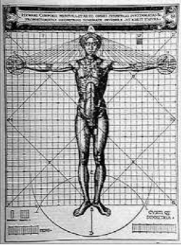 Схема Витрувия, позволяющая оценить размеры частей тела