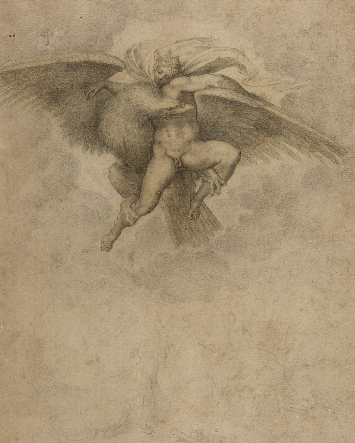Неизвестный художник, по&nbsp;оригиналу Микеланджело Буонарроти Ганимед. XVI век Бумага, итальянский карандаш36,1 × 27&nbsp;см.&nbsp;Художественный музей Гарварда / Музей Фогга, Кембридж, Массачусетс