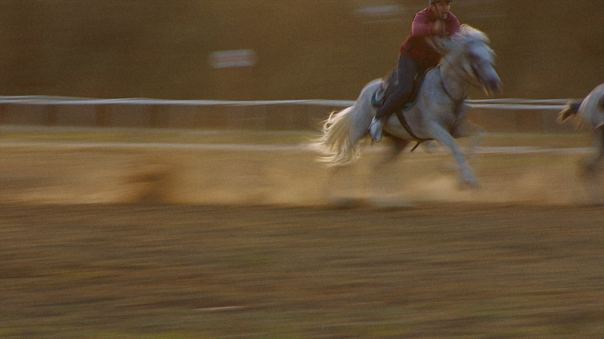 Screenshots from the film. Courtesy of the artist.