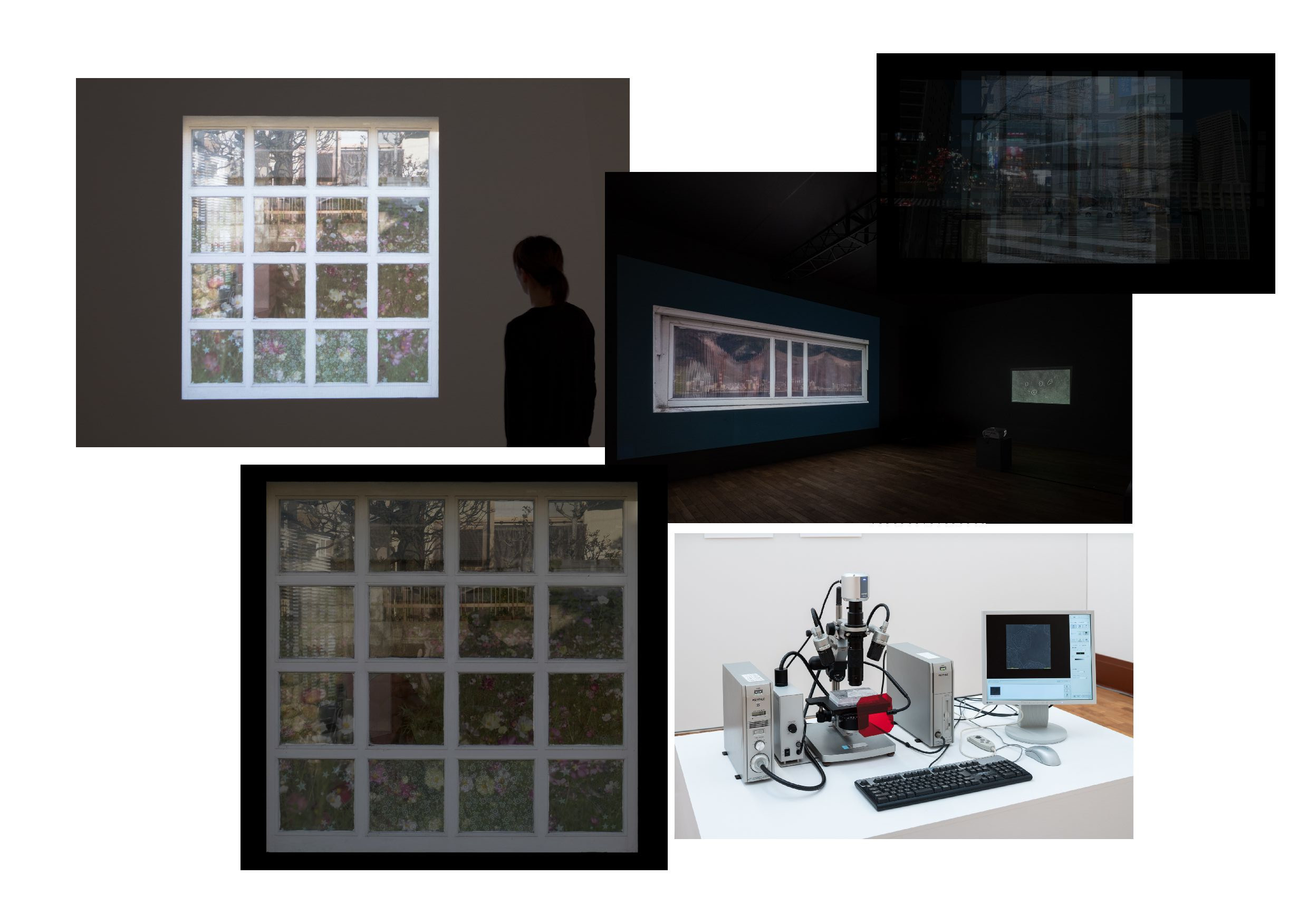 «Cells and Glass». Yuki Hayashi (video artist) × Center for iPS Cell Research and Application (CiRA), Kyoto University (2020). Инсталляция в&nbsp;Kyoto city KYOCERA Museum.