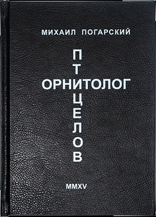 Михаил Погарский. Чёт и нечет