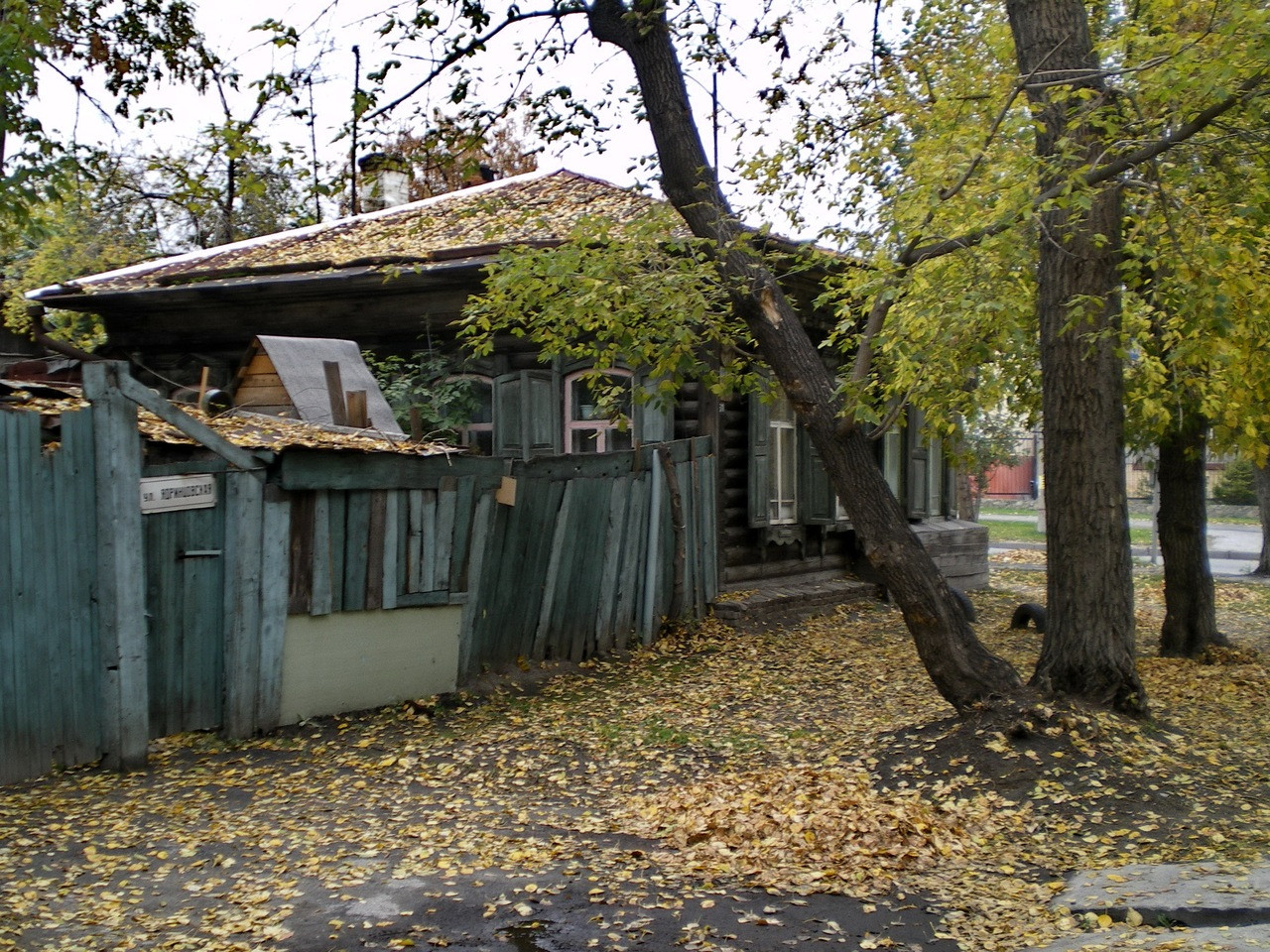 Янка Дягилева и культ мирской святости