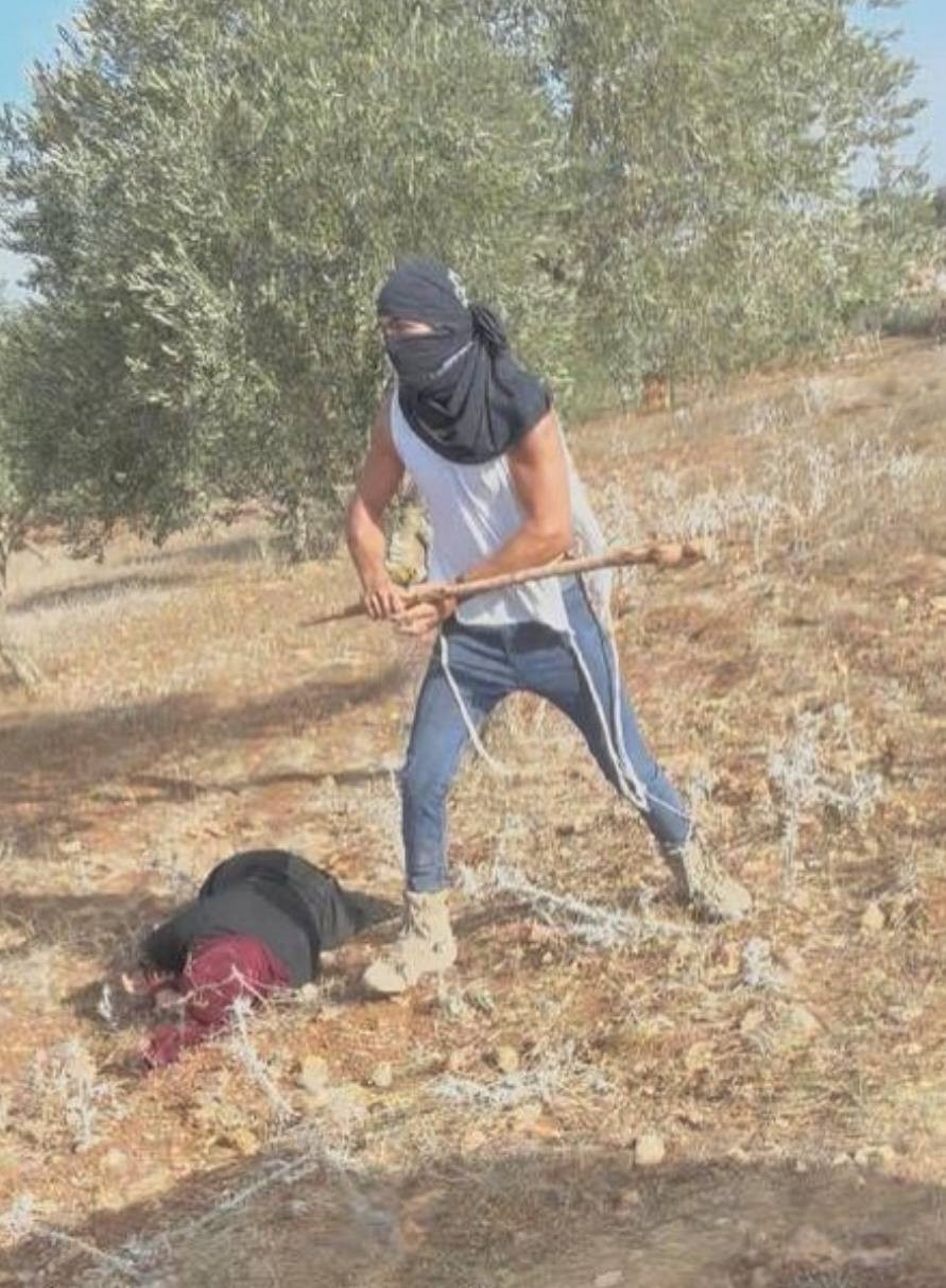 Нападение на палестинскую женшину в Al-Ghayr, северная Рамалла. 19 октября 2025 г. Источник, подробнее об этом инциденте в AP news 