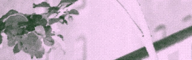 По итогам семинара о психоактивных веществах в психиатрии: от исторических и культурных практик до современных исследований, микродозинга и терапии резистентной депрессии