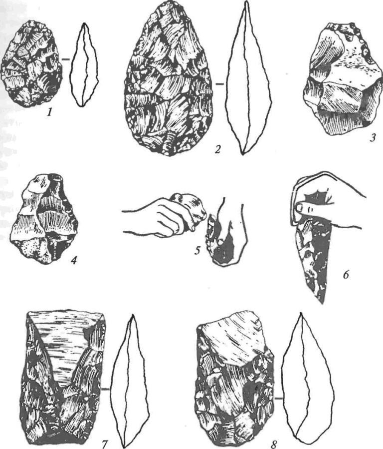 Основные орудия ашельской эпохи:1-4&nbsp;— рубила; 5&nbsp;— изготовление рубила; 6&nbsp;— использование рубила; 7, 8&nbsp;— кливеры (колуны). Археология / Под ред. В.Л.&nbsp;Янина. М., 2006. С.&nbsp;51.