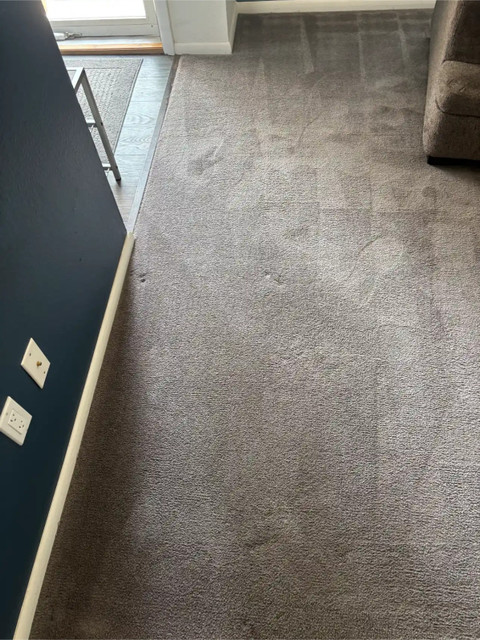 ***Morrison Move-Out Cleaning Guide: How Renters Can Protect Their Security Deposit