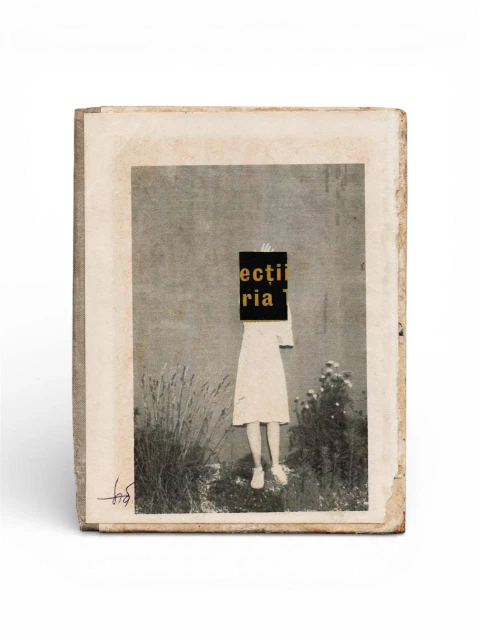 Art as a Form of Reincarnation and a Chronicle of Accidental Encounters