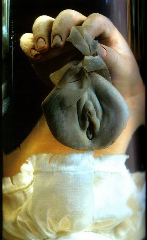 Рука которая держит вульву. Анатомический препарат Фредерика Рюйша.