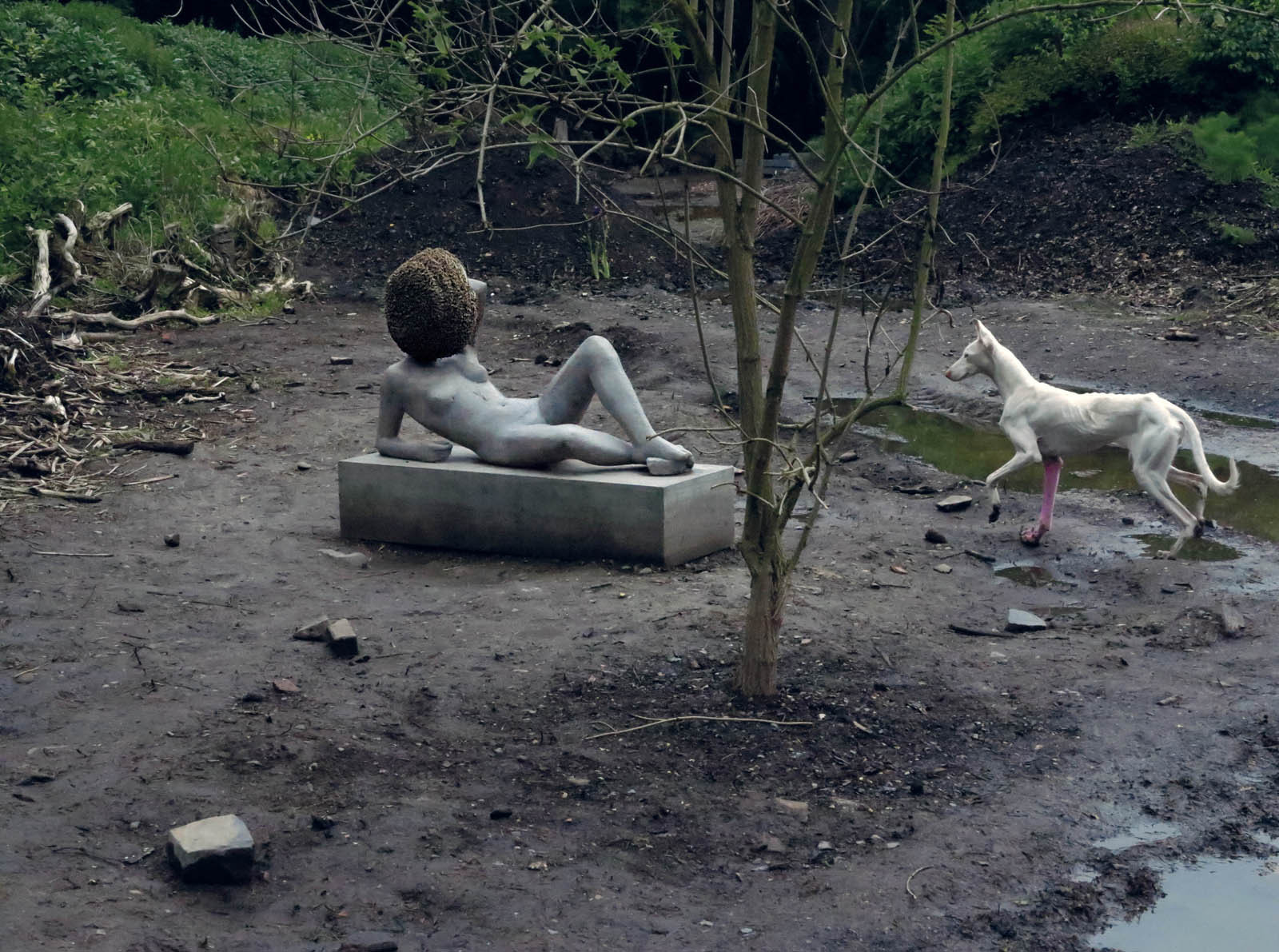 Pierre Huyghe, Untilled, 2011