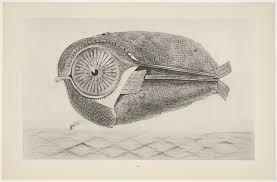 Max Ernst. The Fugitive (L&#39;Évadé) from “Natural History”