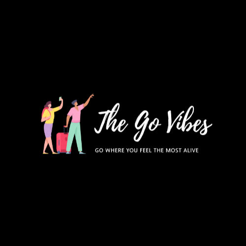 thegovibes