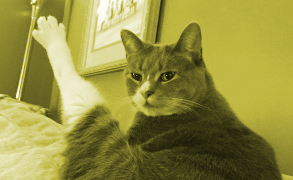 Хоба XI. Короче (a.k.a. anyway)