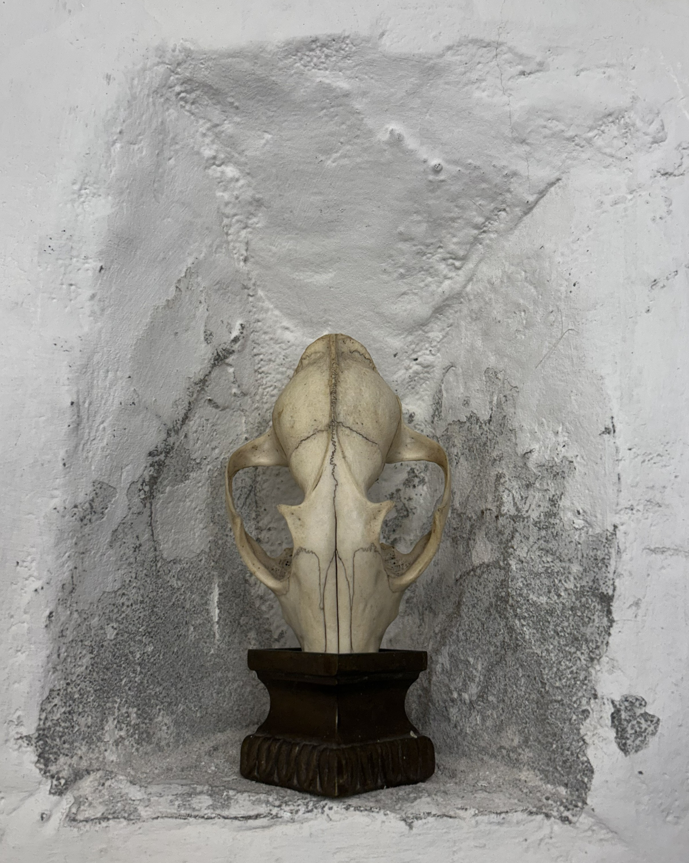 Alessandro Quinzii Borgomainerio: "Corpo sottile"