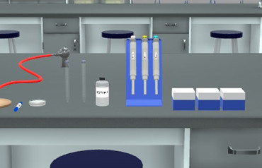 Virtual Lab