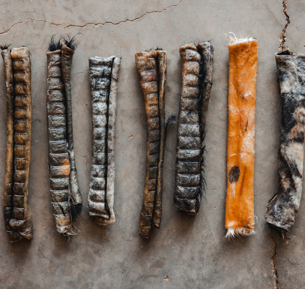 Are Dog Rawhide Rolls Safe? What You Should Know