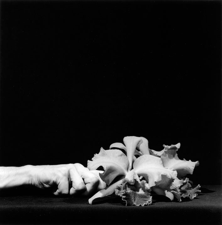 Orchid and Arm. 1983. © Robert Mapplethorpe Foundation.
